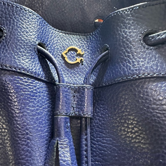 Handbags - C Wonder Blue Pebbled Leather Drawstring Bucket Bag with Gold Logo